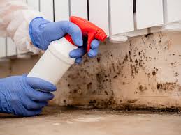 Best Real Estate Mold Inspection in Dacula, GA